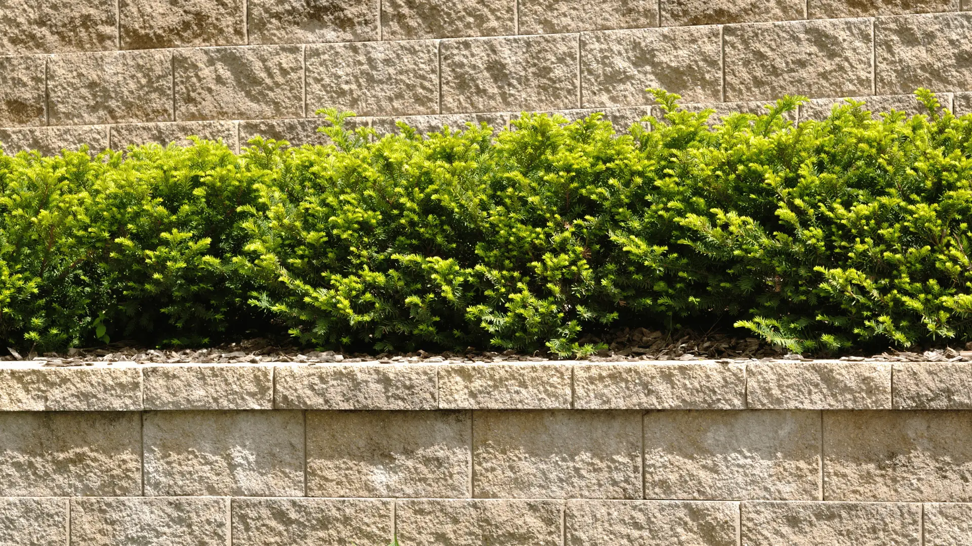 Home retaining wall built by New Beginnings Concrete